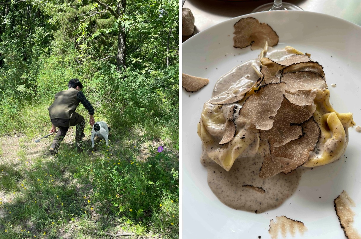 Truffle Hunt